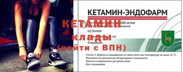 прущие грибы Дмитровск
