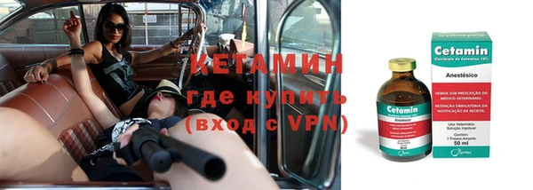 прущие грибы Дмитровск