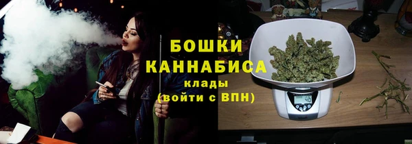 стаф Елизово