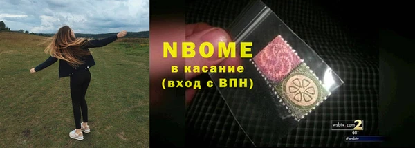 стаф Елизово