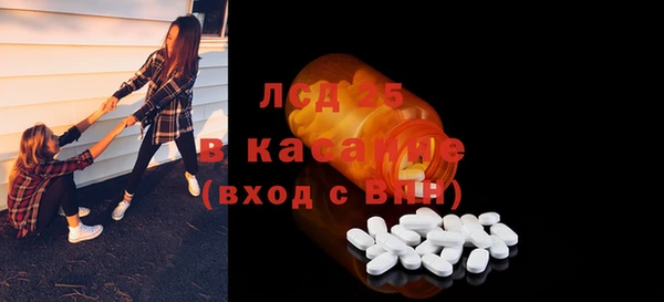 прущие грибы Дмитровск