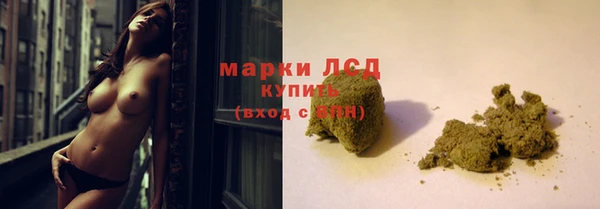 сатива Елабуга
