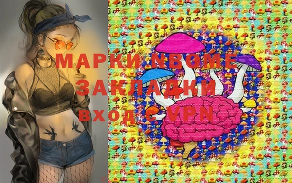 стаф Елизово