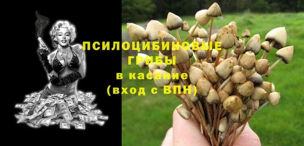 экстази Дмитров