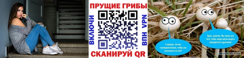 наркотики  Новоаннинский  Псилоцибиновые грибы ЛСД 